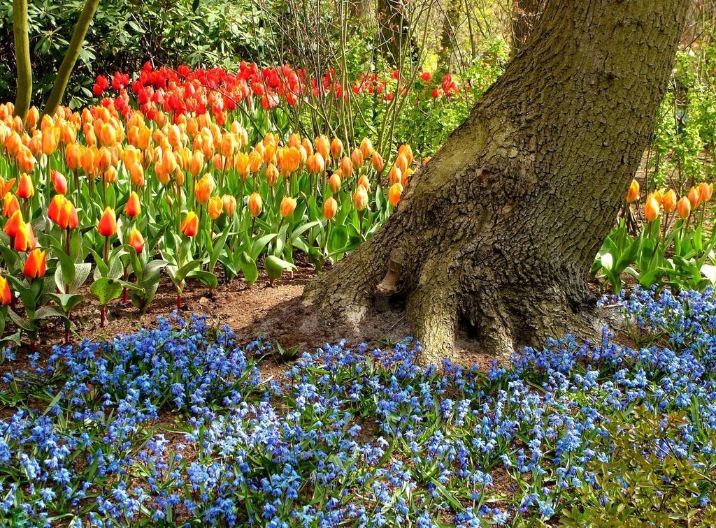 Kien Bed & Breakfast Studio'S Amsterdam Bagian luar foto